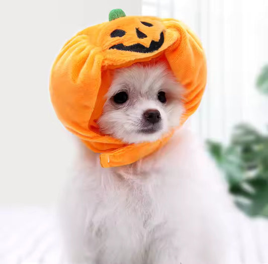 PumpkinPup Hat