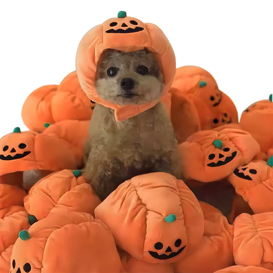 PumpkinPup Hat