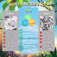 Summer Splashers